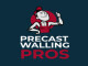 Precast Walling Pros Cape Town
