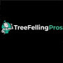 Tree Felling Pros Somerset West Strand
