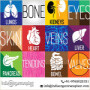 Best Heart Transplant Centers in India