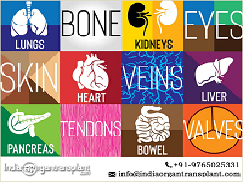 Best Heart Transplant Centers in India