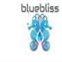 Bluebliss Cleaning Services