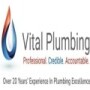 Vital Plumbing