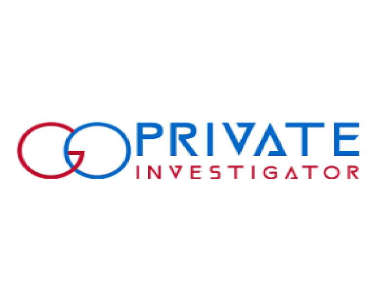 Go Private Investigator Johannesburg