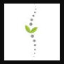 Dr Vicki Ferreira Chiropractor in Centurion