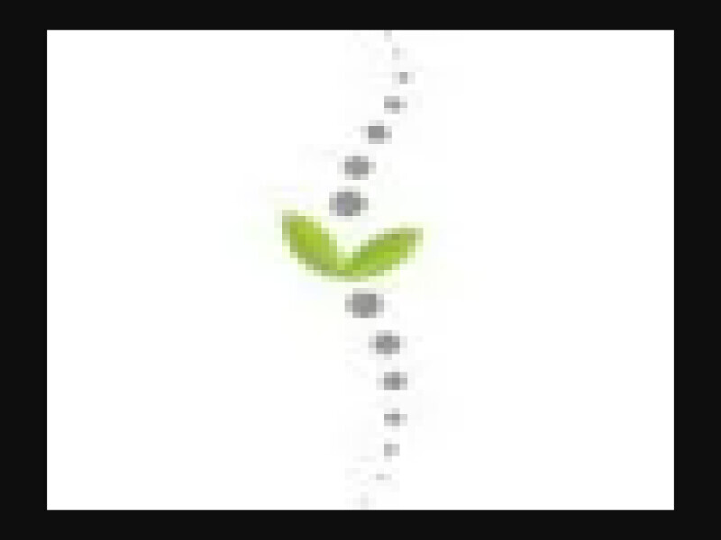 Dr Vicki Ferreira Chiropractor in Centurion