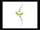 Dr Vicki Ferreira Chiropractor in Centurion