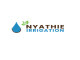 Nyathie Irrigation & Boreholes Pumps