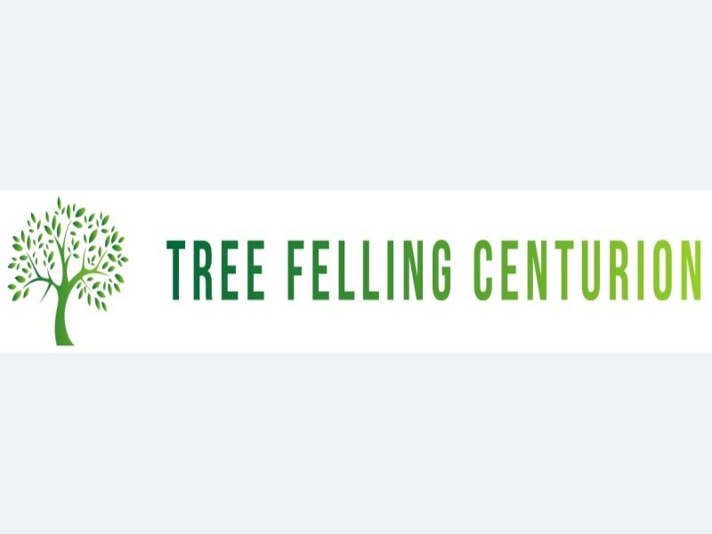 Tree Felling Centurion