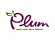Plum BBQ & Spit Braai's