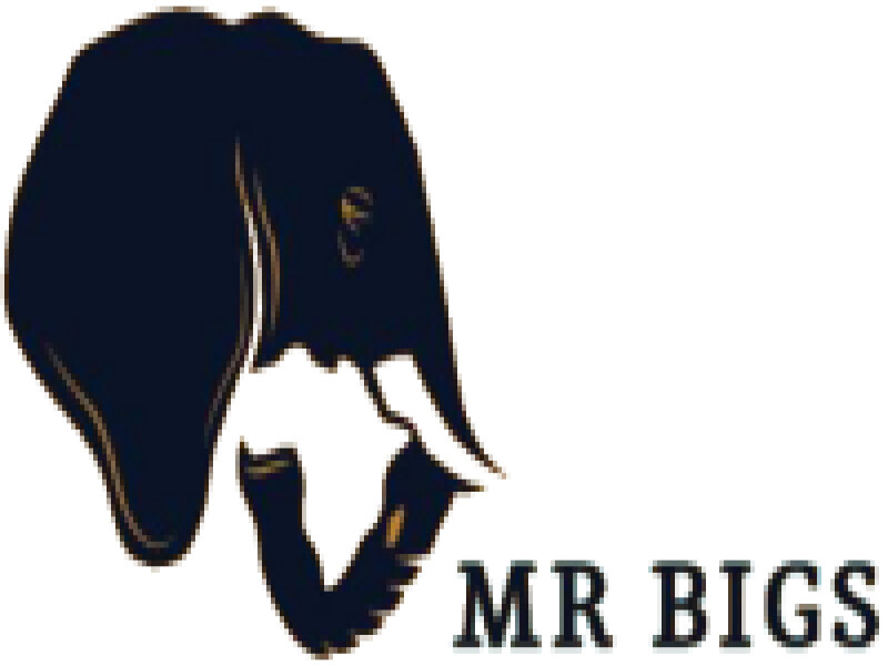 Mr Bigs
