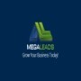 MegaLeads
