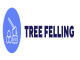 TreeFellingPretoriaEast