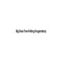 Big Boss Tree Felling Krugersdorp