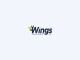 Wings Appliance Repairs