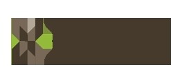 Thebe Investment Corporation (Pty) Ltd