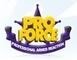 Pro Force Security