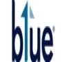 Blue Financial Services