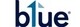 Blue Financial Services