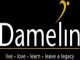 Damelin (West Coast)