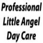 Professional Little Angel Day Care