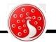 Peacock Tea & Coffee (Pty) Ltd