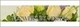 Florist Vinita's