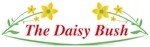 The Daisy Bush