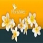 Magnolia Florist Gifts & Treats (Since 1985)
