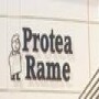 Protea Rame