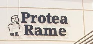 Protea Rame