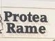 Protea Rame