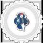 The Saj Competency Training Institute