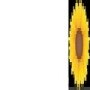 Health Spas Guide