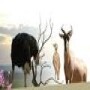 Economic Development Tourism & Environmental Affairs