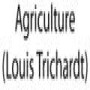 Agriculture (Louis Trichardt)