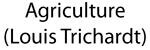 Agriculture (Louis Trichardt)