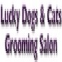 Lucky Dogs & Cats Grooming Salon