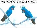 Parrot Paradise