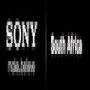 Sony Centre (Canal Walk)