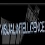 Visual Intelligence
