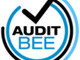 Audit BEE Inc