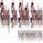 Rising Sun Shuttle & Tours