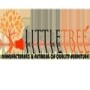 Little Tree