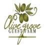 Olive Grove Guest Farm