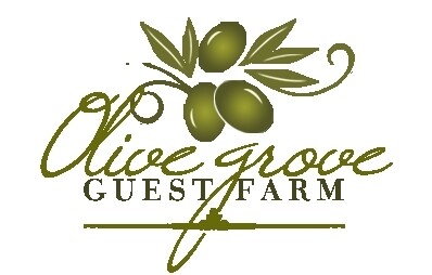 Olive Grove Guest Farm