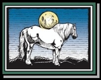 Outeniqua Moon Guest Farm & Percheron Stud
