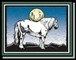 Outeniqua Moon Guest Farm & Percheron Stud
