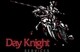 Day Knight Services