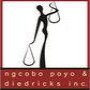 Ngcobo Poyo & Diedricks INC:Hoosen Haffejee Street 190