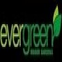 Evergreen Indoor Gardens